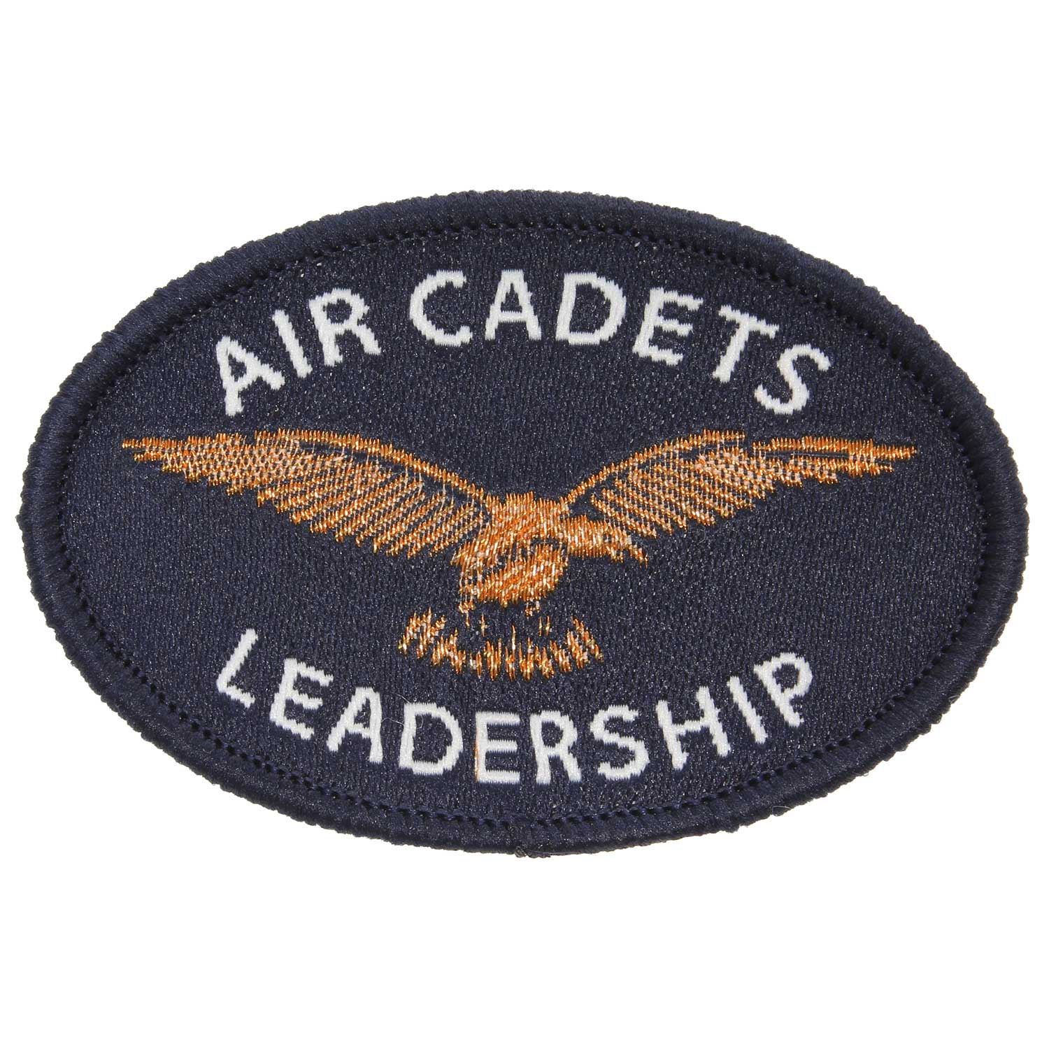 ATC Cadet Basic Leadership Bronze...