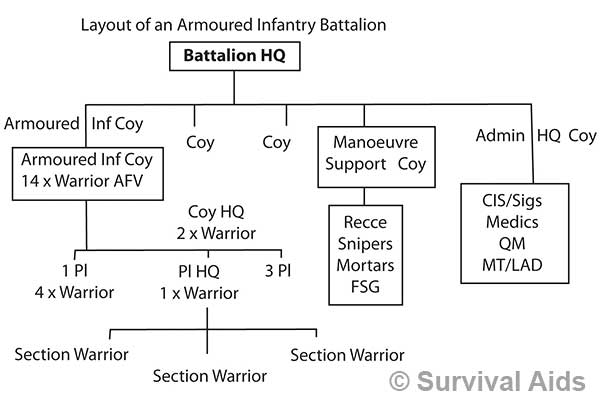 armoured inf bn