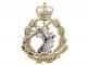 Royal Army Dental Corps (RADC)
