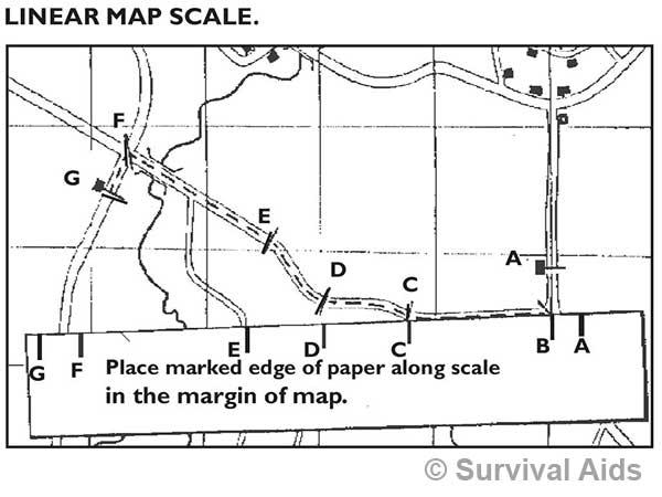 Linear map scale